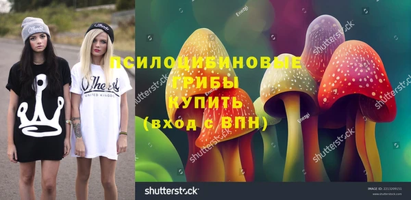 герыч Бронницы