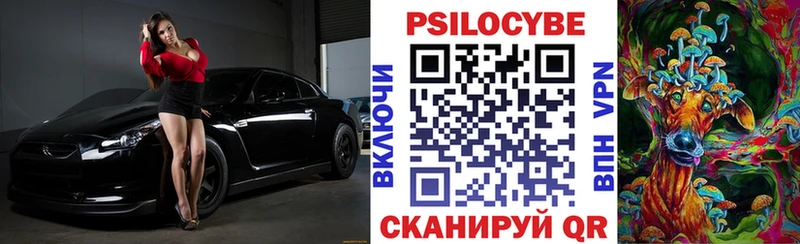Купить  Тюкалинск  Псилоцибиновые грибы Psilocybine cubensis 